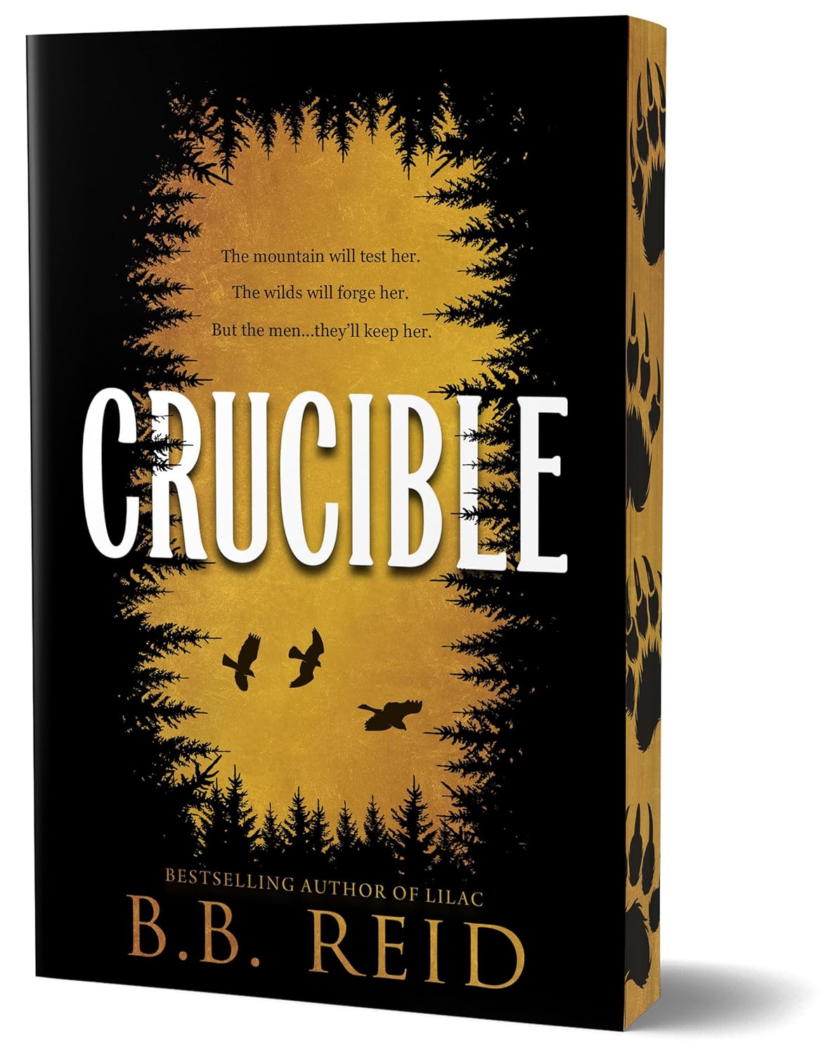 Crucible (Deluxe Edition)- B.B. Reid