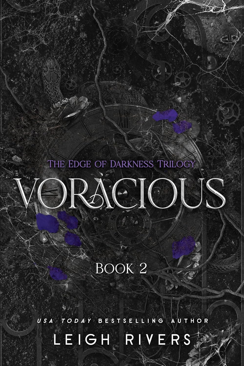 Voracious - Leigh Rivers