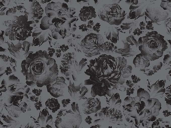 Lights Out (Collector's Edition)- Navessa Allen