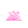 Love Affair Bookstore