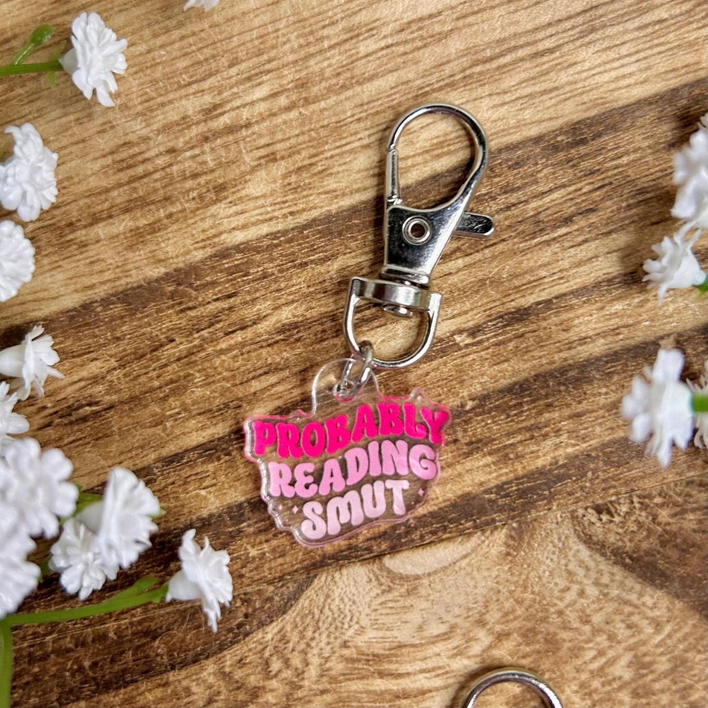 Probably Reading Smut Dust Plug USB-C