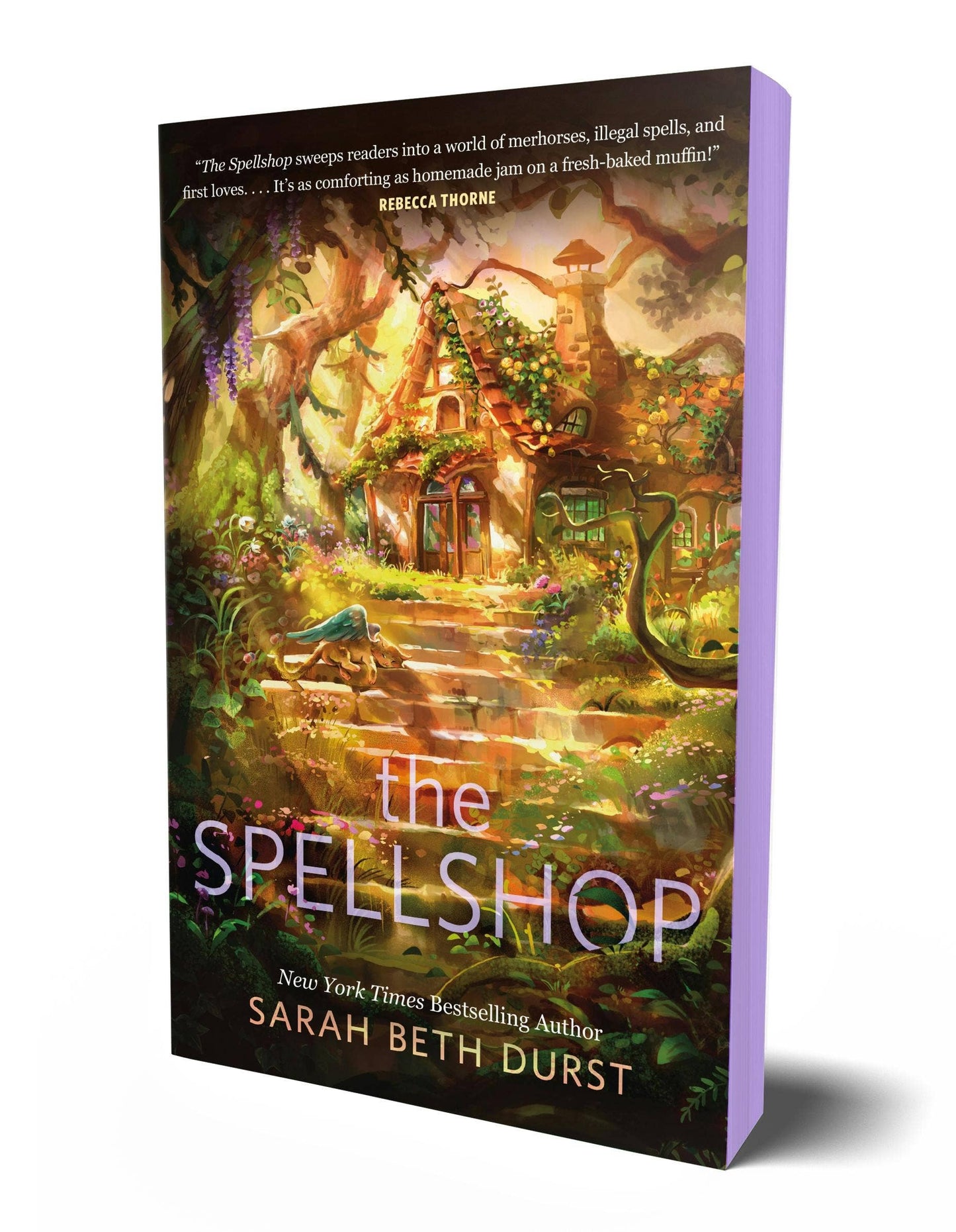 The SpellShop (Spryd Edges)- Sarah Beth durst
