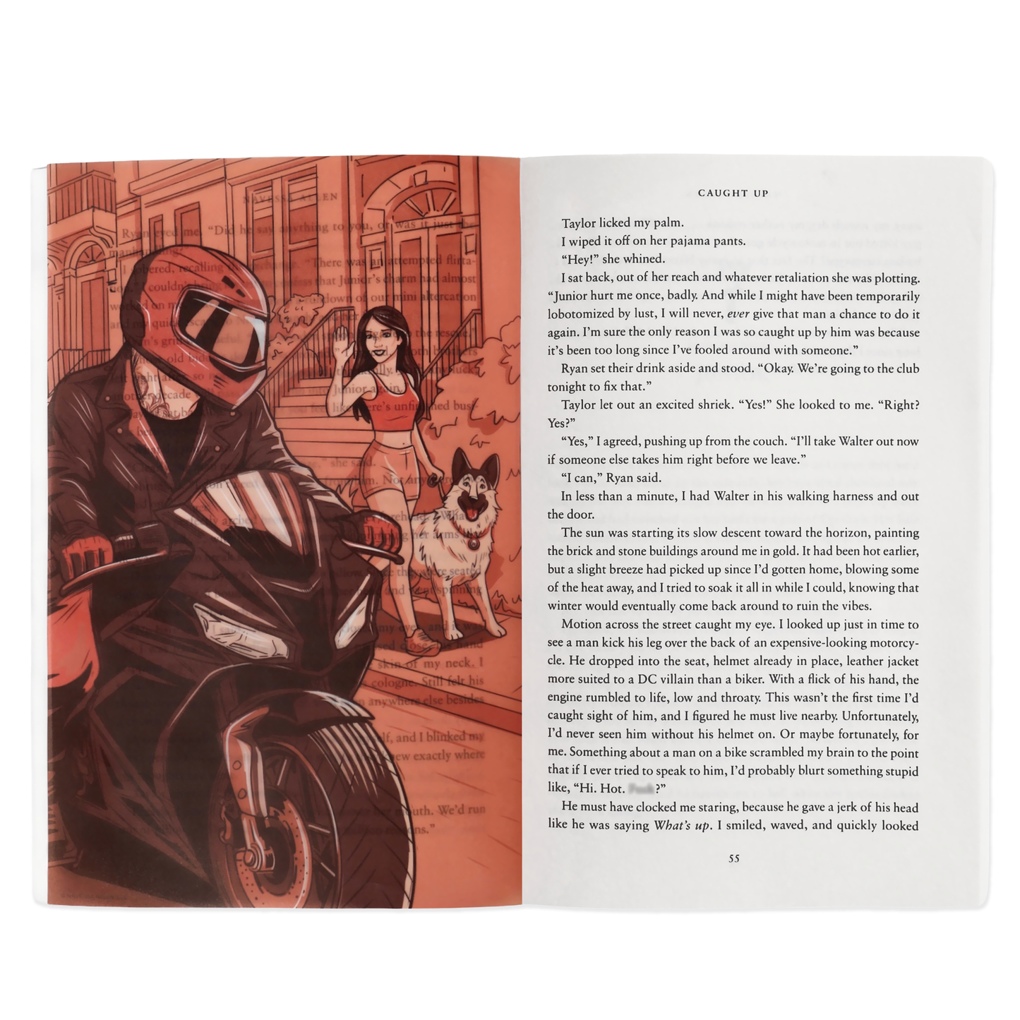 Caught Up Book Scene Illustrations (6-Pack)