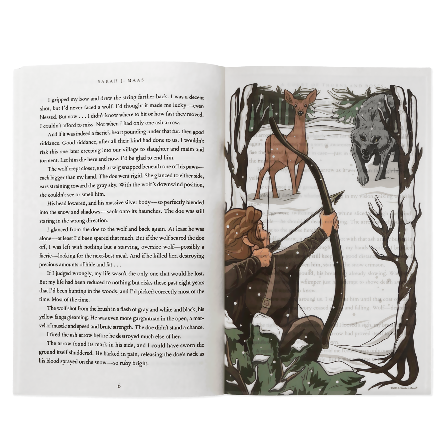 A Court of Thorns and Roses Book Scene Illustrations (6-Pack)