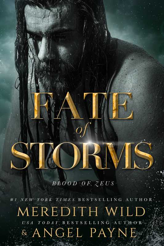 Fate of Storms by Meredith Wild