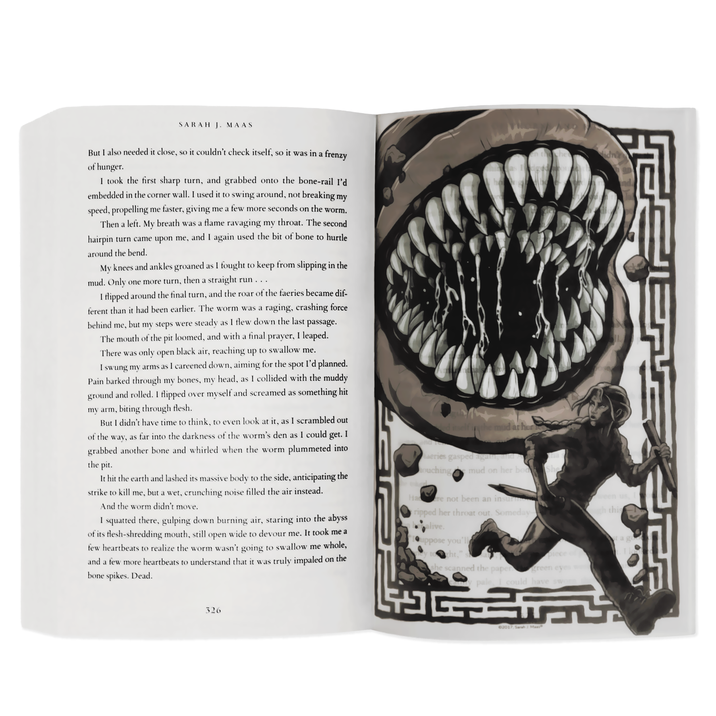 A Court of Thorns and Roses Book Scene Illustrations (6-Pack)