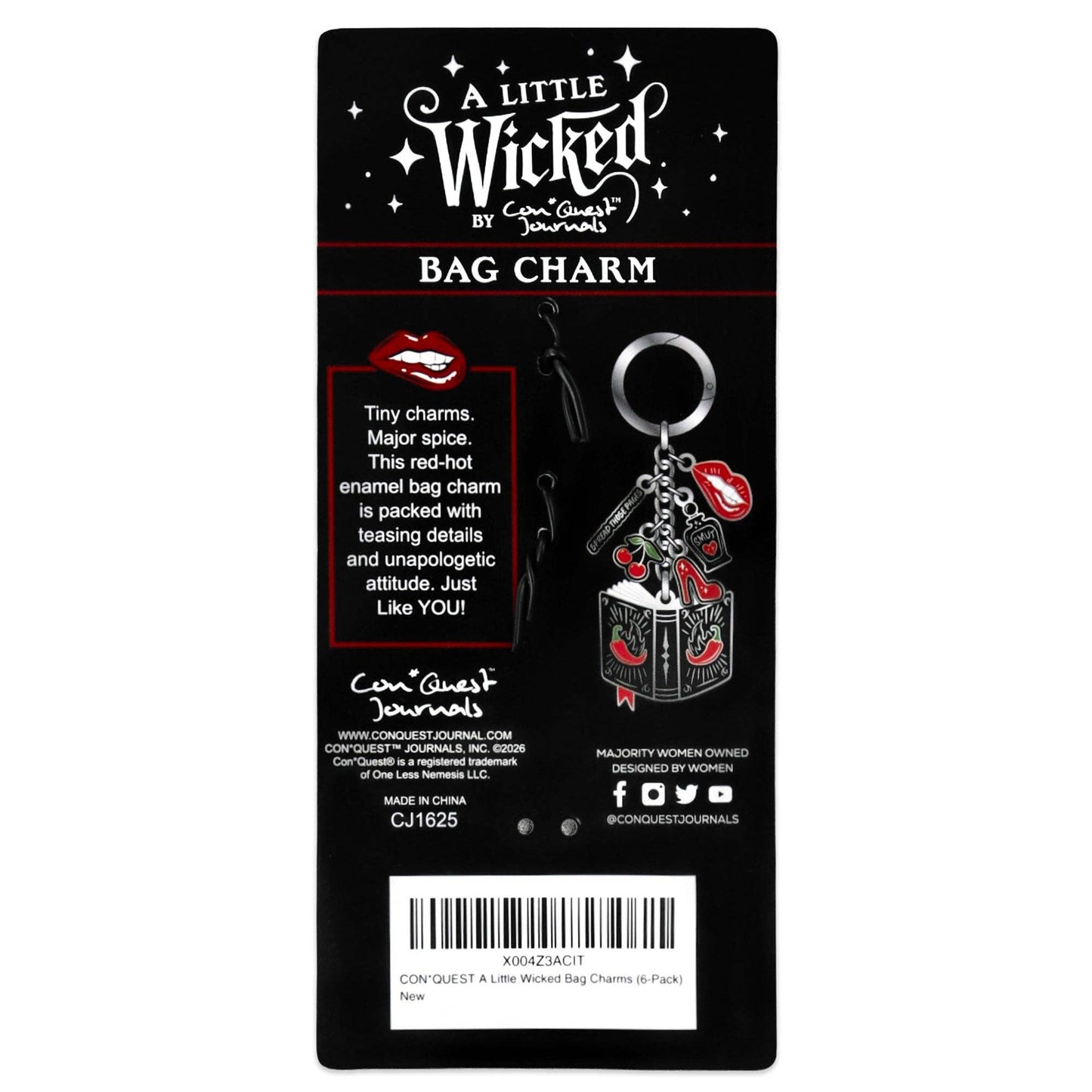 A Little Wicked Bag Charm