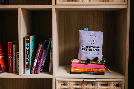 “I Like My Books Extra Spicy” Plush Book