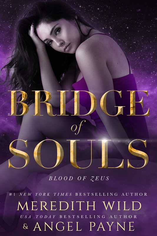 Bridge of Souls by Meredith Wild