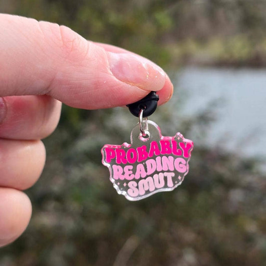 Probably Reading Smut Dust Plug USB-C