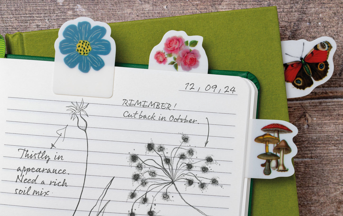 Journal/Annotation Tabs
