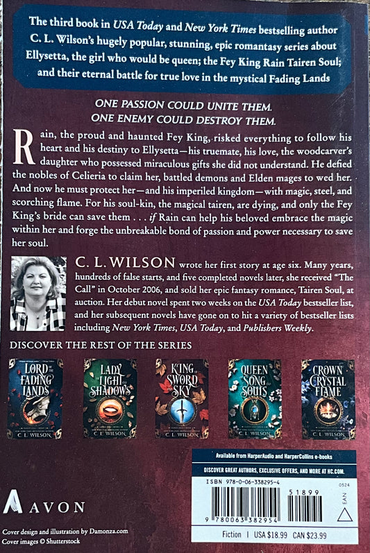 King of Sword & Sky- C.L. Wilson