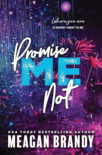 Promise Me Not- Meagan Brandy