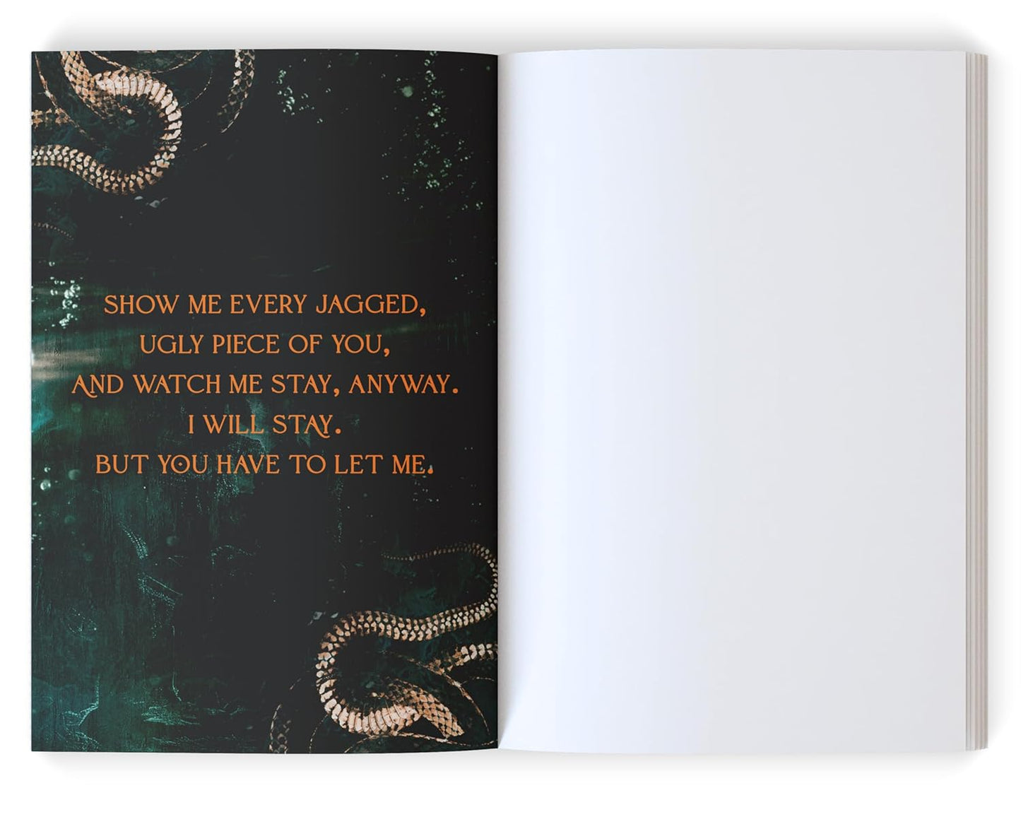 Twisted Pawn (INDIE DELUXE PRE-ORDER)- L.J. Shen