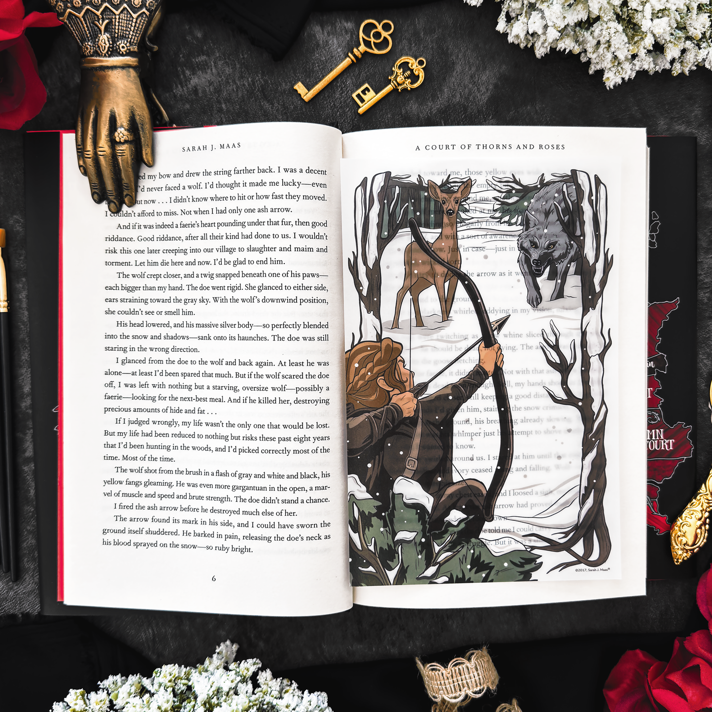A Court of Thorns and Roses Book Scene Illustrations (6-Pack)