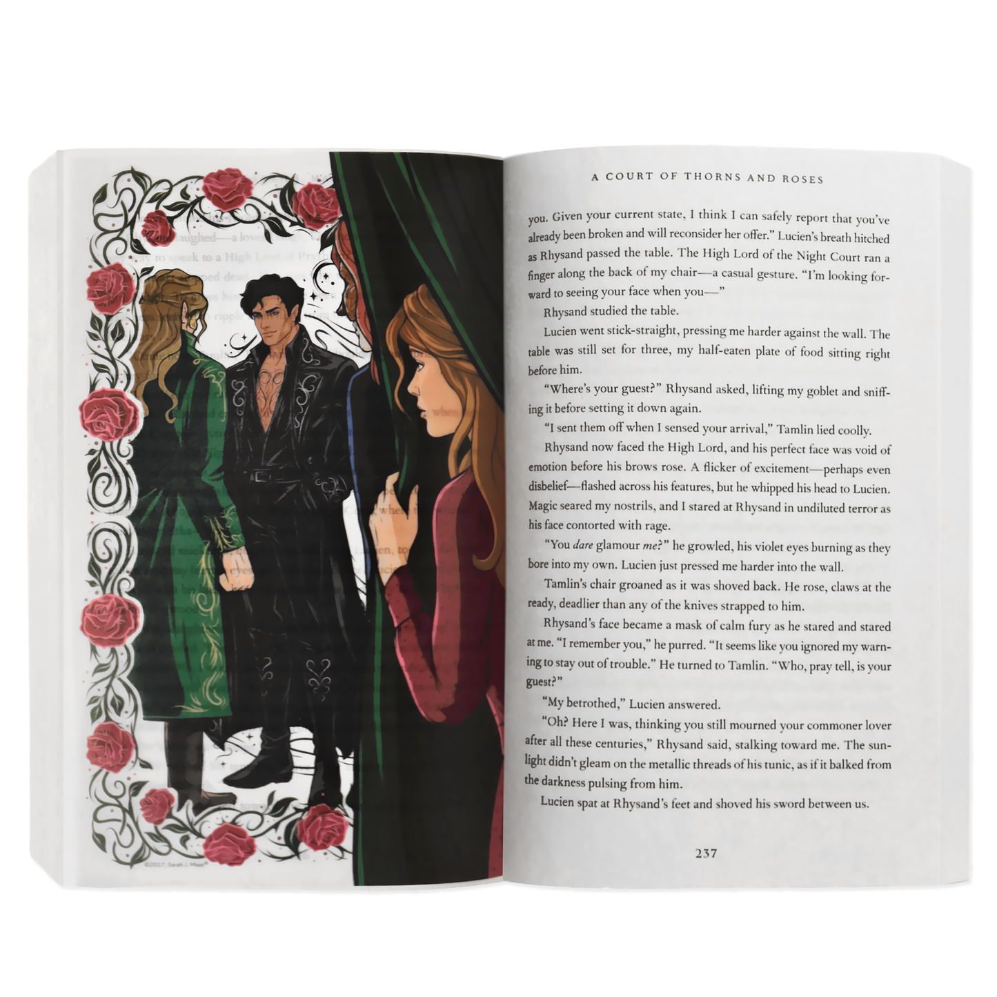 A Court of Thorns and Roses Book Scene Illustrations (6-Pack)