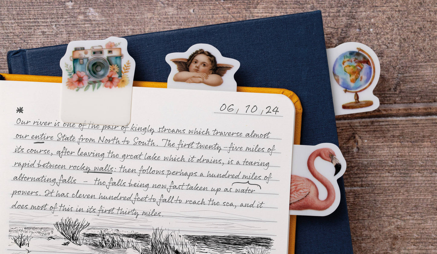 Journal/Annotation Tabs