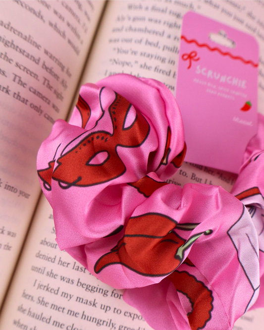 Spicy Books Scrunchie